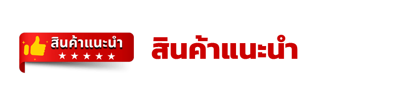 สินค้าแนะนำ
